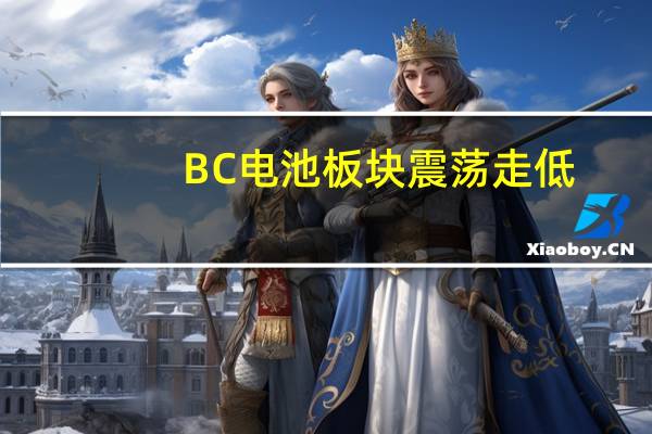 BC电池板块震荡走低
