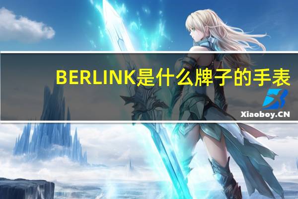 BERLINK是什么牌子的手表