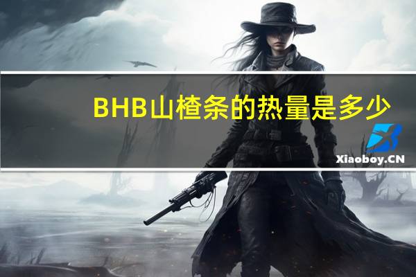 BHB 山楂条的热量是多少