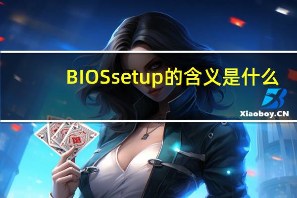BIOS setup的含义是什么