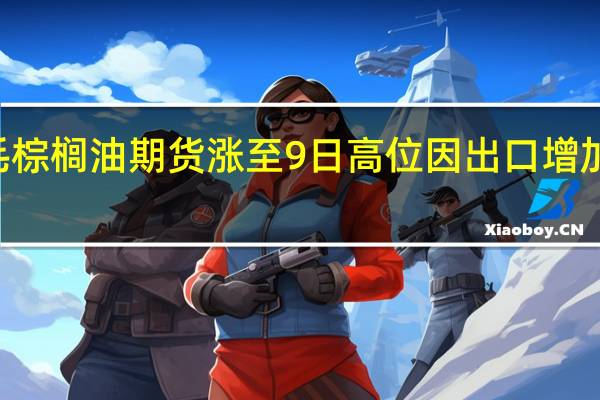 BMD毛棕榈油期货涨至9日高位因出口增加及马币走疲