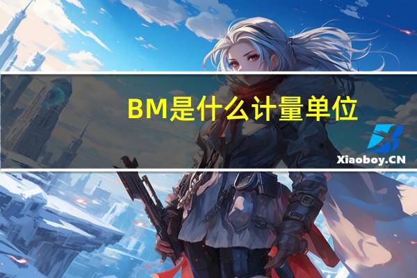 BM是什么计量单位