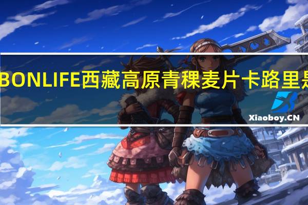 BONLIFE  西藏高原青稞麦片卡路里是多少