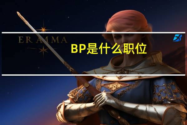 BP是什么职位