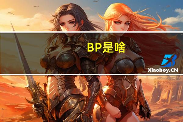 BP是啥