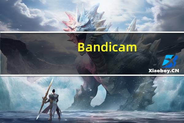 Bandicam(高清录制视频软件) V5.3.0.1879 汉化破解版(Bandicam(高清录制视频软件) V5.3.0.1879 汉化破解版功能简介)