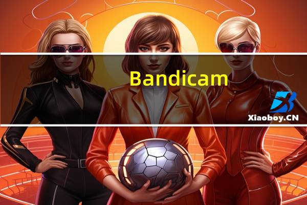 Bandicam(高清录制视频软件) V5.3.0.1879 汉化破解版（Bandicam(高清录制视频软件) V5.3.0.1879 汉化破解版功能简介）