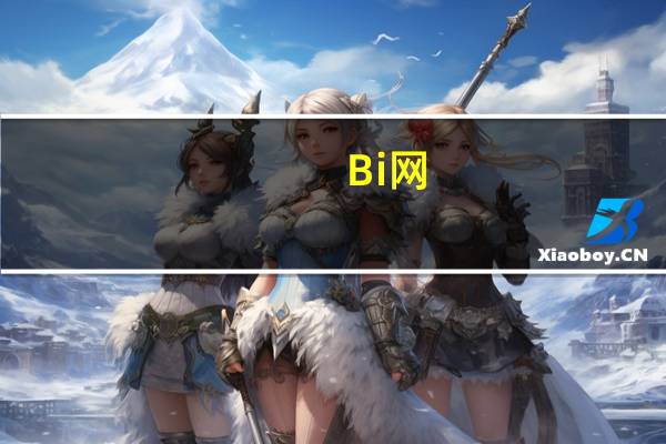 Bi网