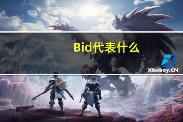 Bid代表什么