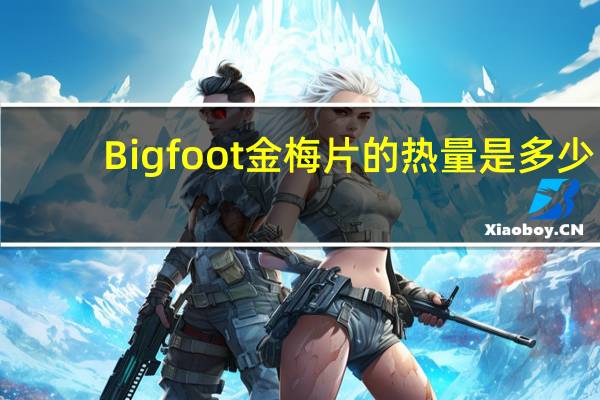 Big foot 金梅片的热量是多少