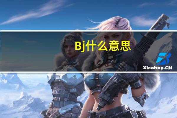 Bj 什么意思
