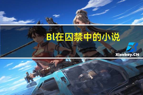 Bl在囚禁中的小说