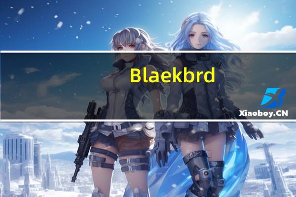 Blaekbrd(屏幕涂鸦软件) V1.0 绿色免费版(Blaekbrd(屏幕涂鸦软件) V1.0 绿色免费版功能简介)