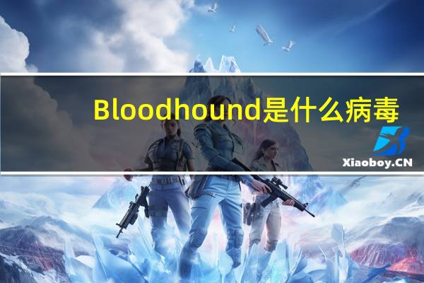 Bloodhound是什么病毒