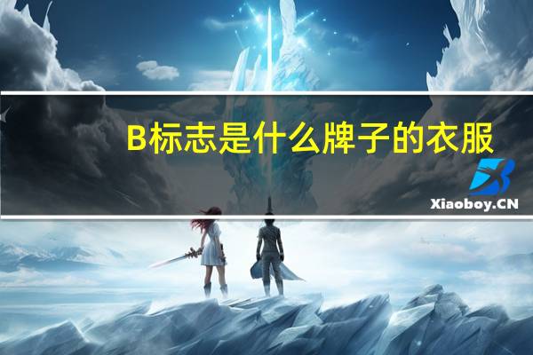 B标志是什么牌子的衣服