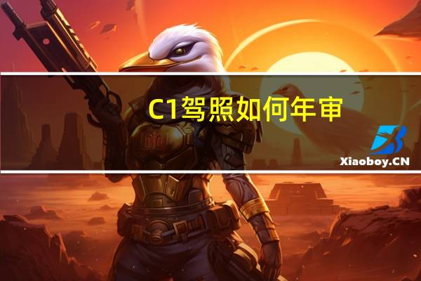 C1驾照如何年审