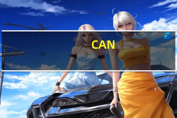 CAN，是什么