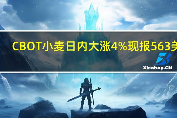 CBOT小麦日内大涨4%现报563美分/蒲式耳