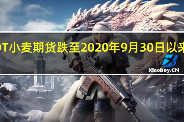 CBOT小麦期货跌至2020年9月30日以来的最低点