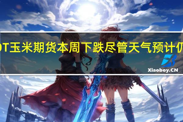 CBOT玉米期货本周下跌尽管天气预计仍炎热干燥