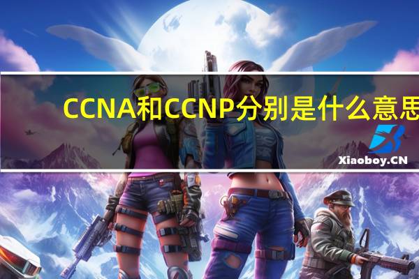 CCNA和CCNP分别是什么意思