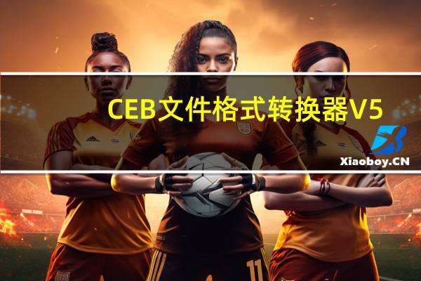 CEB文件格式转换器 V5.0.1 免费版（CEB文件格式转换器 V5.0.1 免费版功能简介）