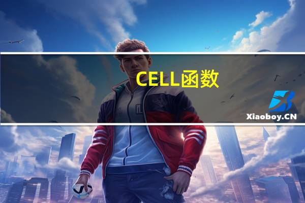 CELL函数