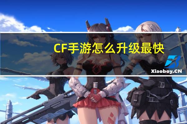CF手游怎么升级最快