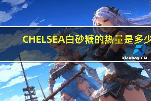 CHELSEA 白砂糖的热量是多少