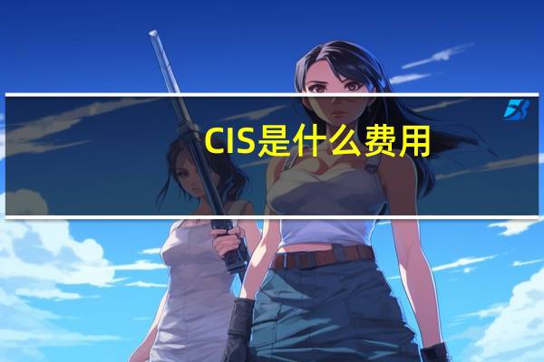 CIS是什么费用