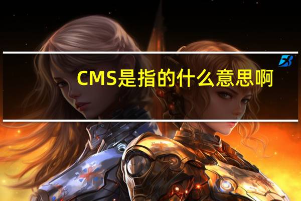 CMS是指的什么意思啊
