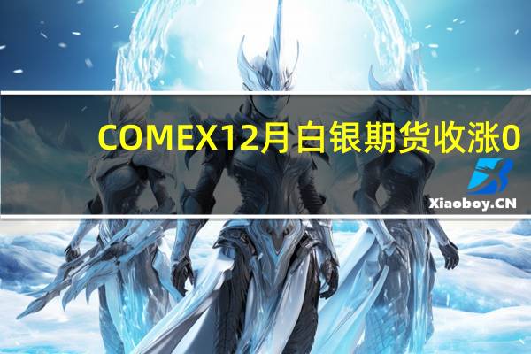 COMEX 12月白银期货收涨0.32%报23.099美元/盎司COMEX 1月白银期货收涨0.32%报23.225美元/盎司