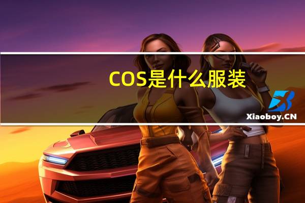COS是什么服装