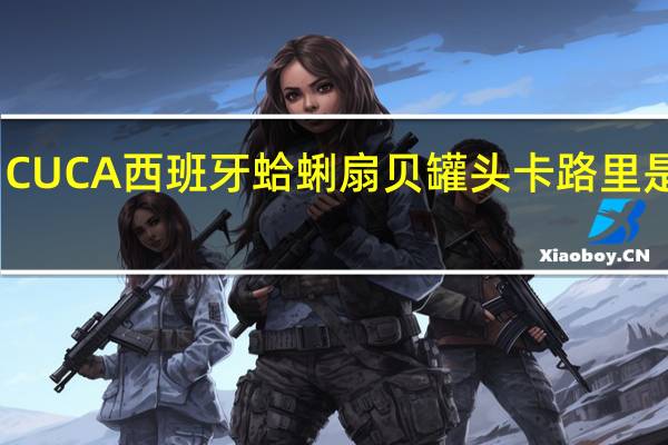 CUCA 西班牙蛤蜊扇贝罐头卡路里是多少