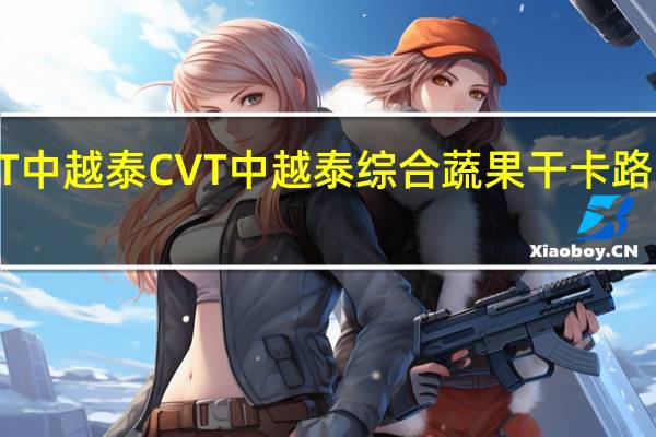 CVT中越泰 CVT 中越泰 综合蔬果干卡路里是多少