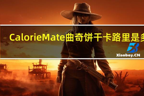 CalorieMate 曲奇饼干卡路里是多少