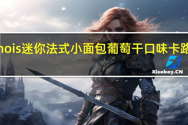 Chinois 迷你法式小面包 葡萄干口味卡路里是多少