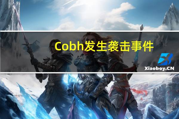 Cobh发生袭击事件，一男子重伤入院
