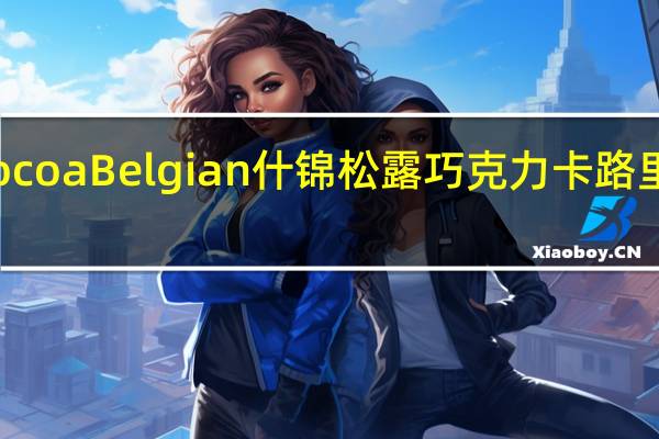 CocoaBelgian 什锦松露巧克力卡路里是多少