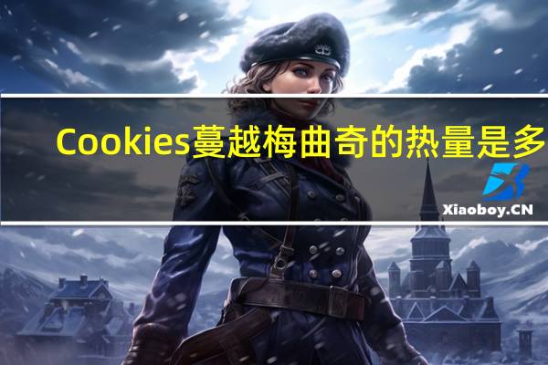 Cookies 蔓越梅曲奇的热量是多少