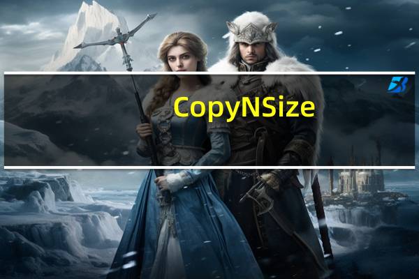 Copy N Size(图片大小批量转换器) V4.6 绿色免费版(Copy N Size(图片大小批量转换器) V4.6 绿色免费版功能简介)