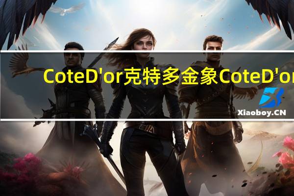 Cote D'or 克特多金象 Cote D'or/克特多金象 牛奶巧克力卡路里是多少