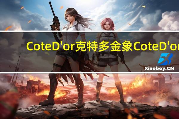 Cote D'or 克特多金象 Cote D'or/克特多金象 牛奶巧克力的热量是多少