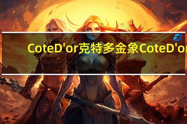 Cote D'or 克特多金象 Cote D'or/克特多金象 黑松露巧克力卡路里是多少