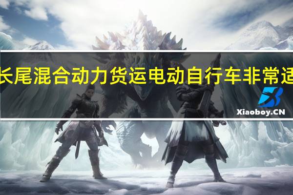 Cube的新型长尾混合动力货运电动自行车非常适合忙碌的城市家庭