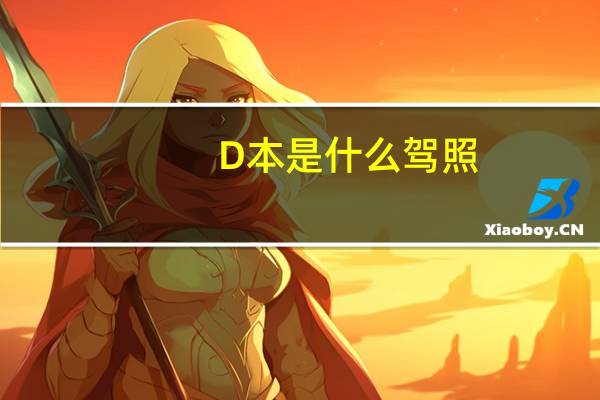 D本是什么驾照？