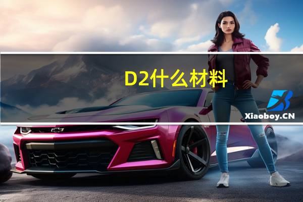 D2什么材料