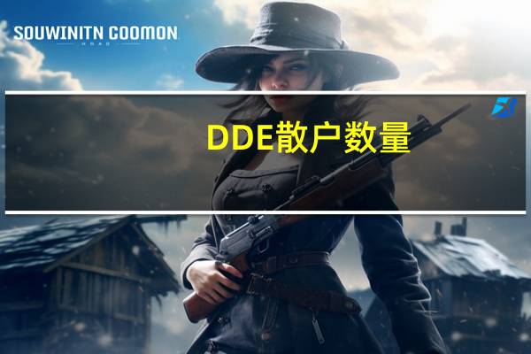 DDE散户数量