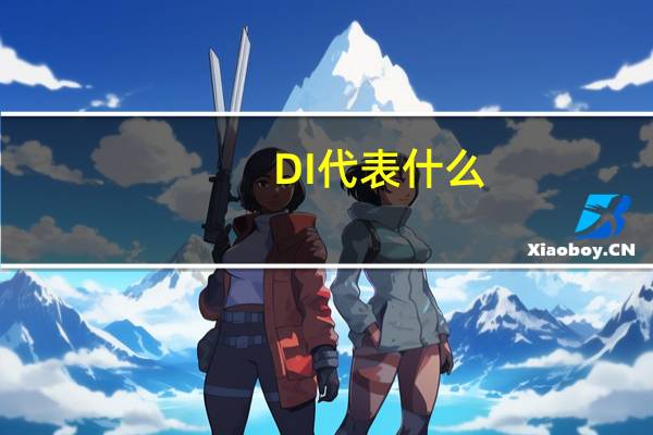 DI代表什么