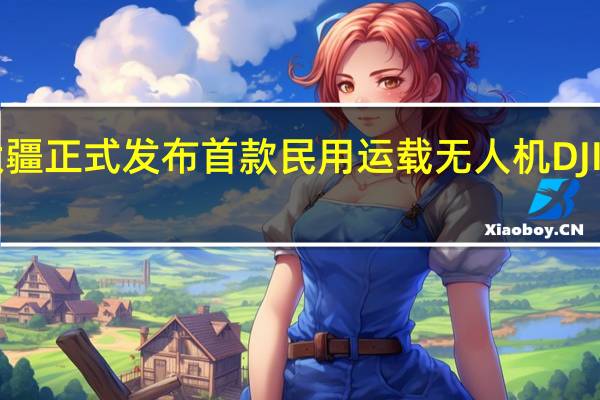 DJI大疆正式发布首款民用运载无人机DJIFlyCart30